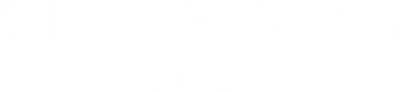 DIVERSITY SHOP 