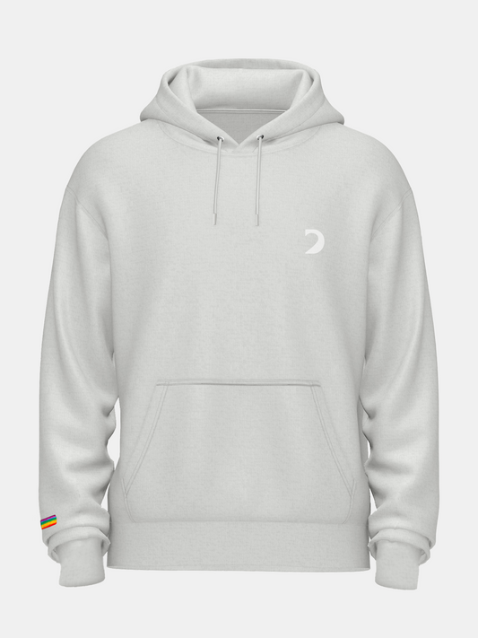 BASICS - HOODIE GRIS VINTAGE