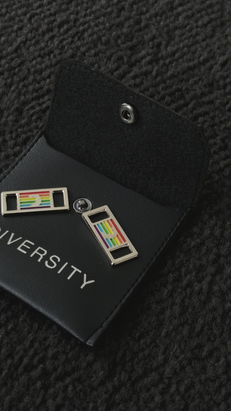 Vidéo des pins D'Lux arc-en-ciel Diversity