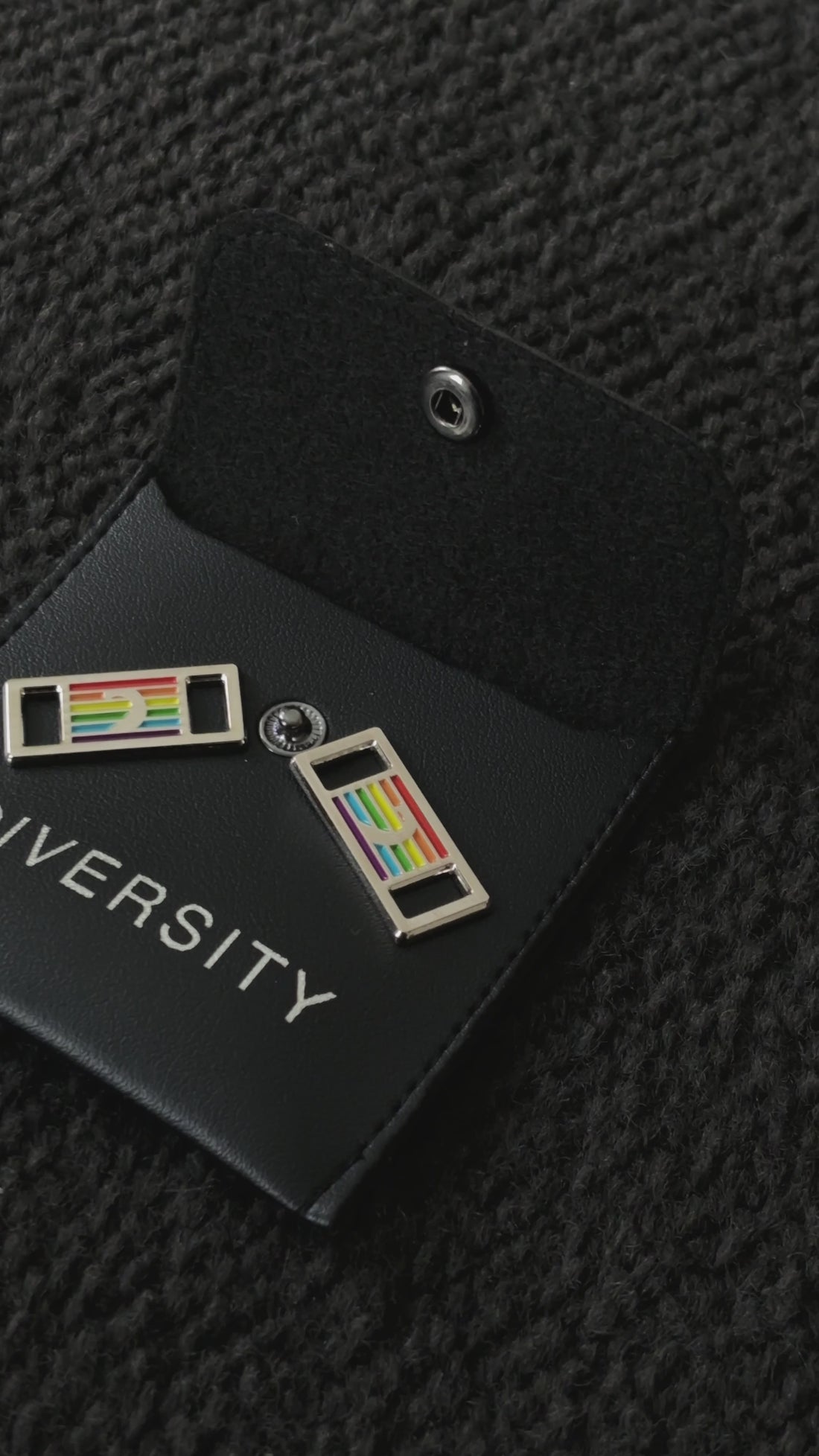 Vidéo des pins D'Lux arc-en-ciel Diversity